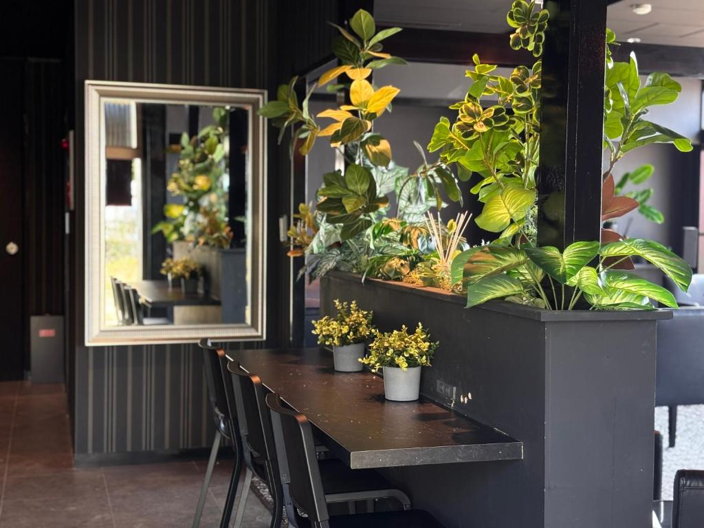 夕陽に迎えられる